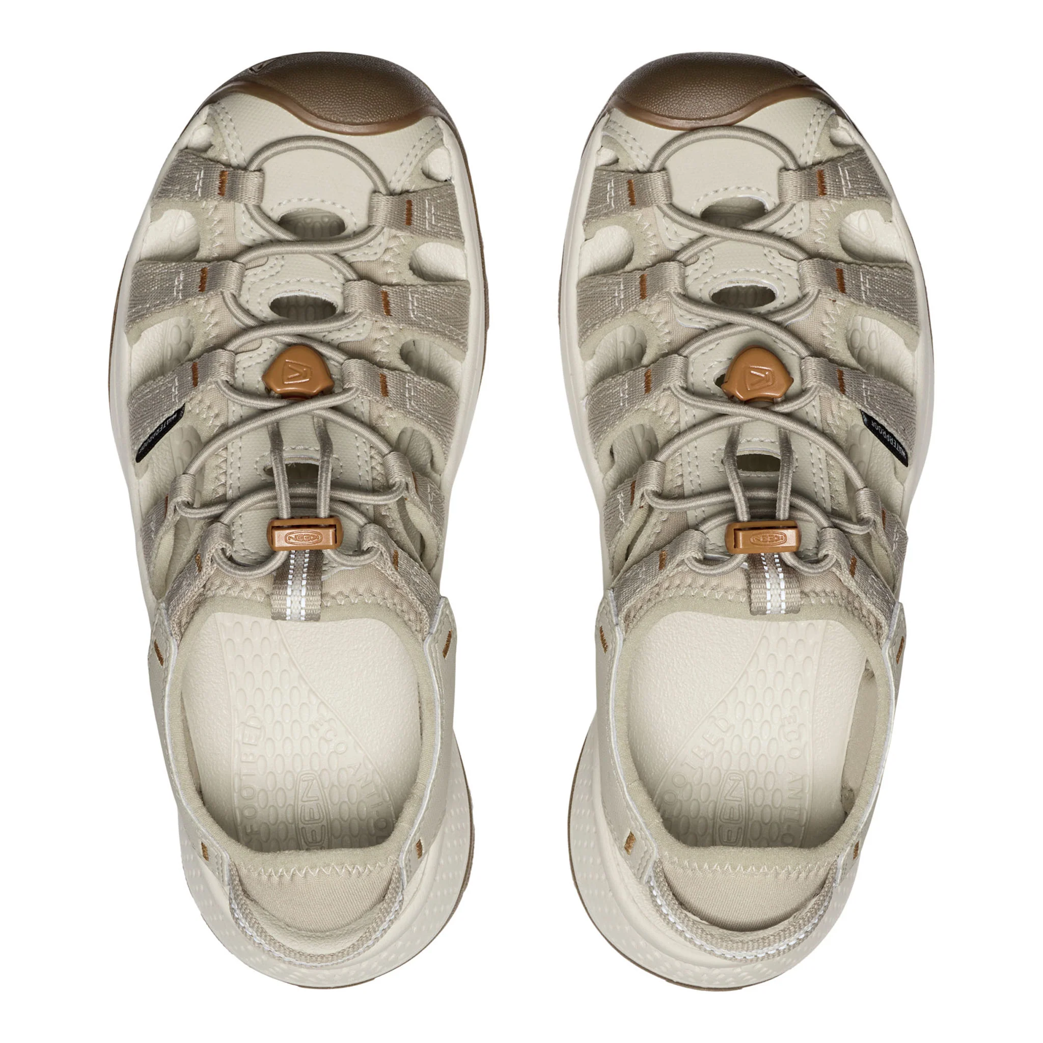 Women's Astoria West Sandal Plaza Taupe/Roasted Pecan - Image 5
